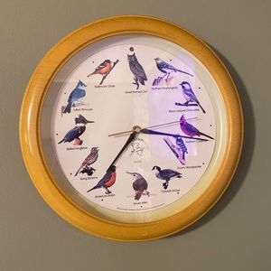 Vntg National Audobon Society Bird Song Quartz Wall Clock photo electric eye
